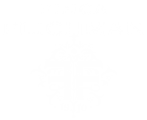 Finca Flichman